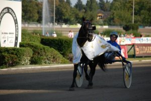 ferrarikievitshof20150802-21