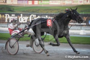 hingistranssr20161113