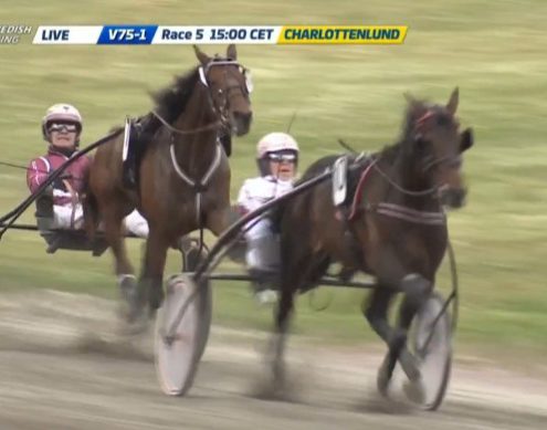 tsunamidiamant20200517-01