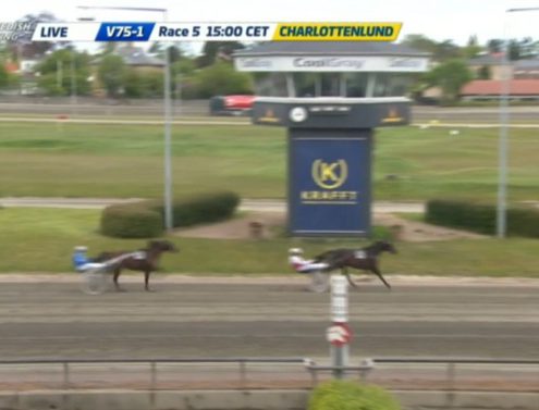 tsunamidiamant20200517-02