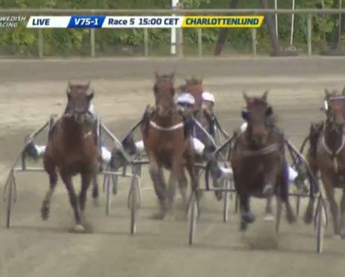 tsunamidiamant20200517-03