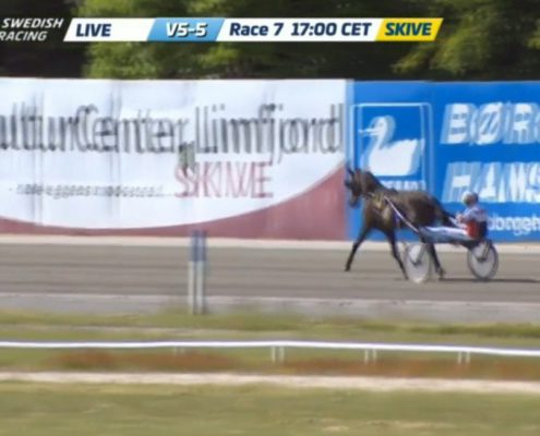 tsunamidiamant20200601-01