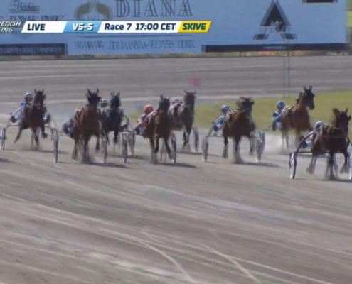 tsunamidiamant20200601-02