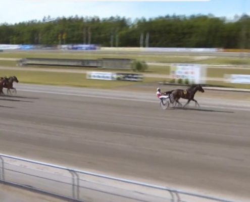 tsunamidiamant20200601-03