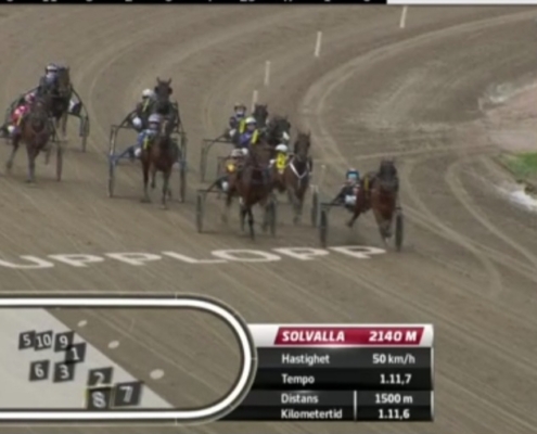 FragolinoRosso20251011-1