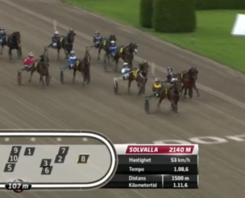 FragolinoRosso20251011-3