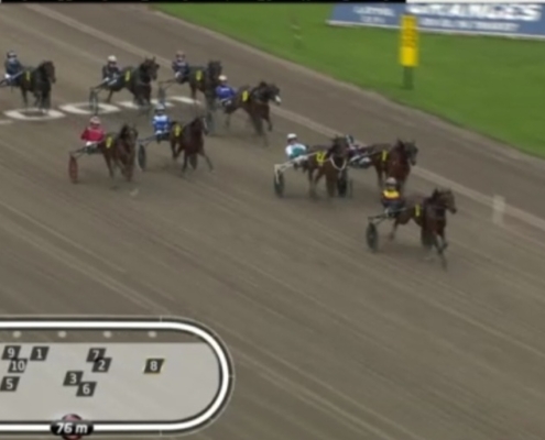 FragolinoRosso20251011-4