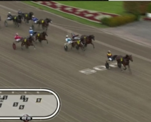 FragolinoRosso20251011-5