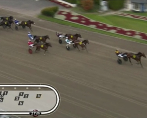 FragolinoRosso20251011-6