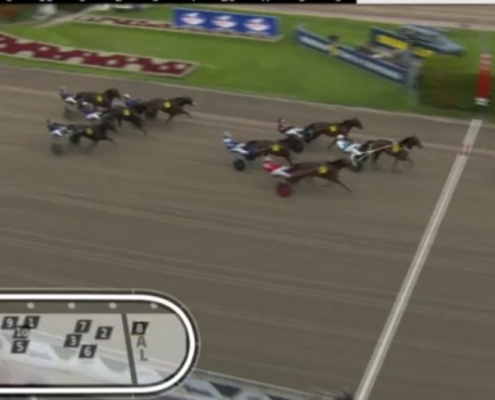 FragolinoRosso20251011-7