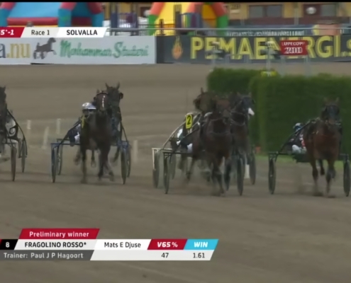 FragolinoRosso20251011-8