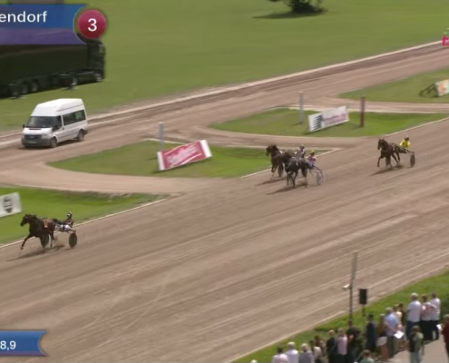 FragolinoRosso20260802-3